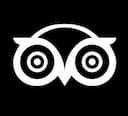 Tripadvisor icon